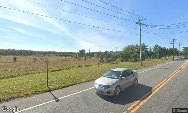 Street Views of Sunflower  at Condzella’s Farm Wading River, New york - 4
