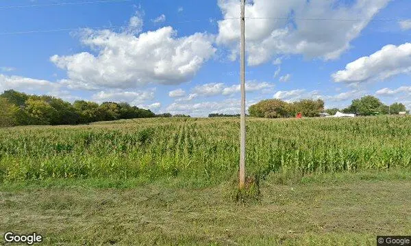 Street Views of Sunflower  at Fresh Acres Corn Maze and Pumpkin Patch Monticello, Minnesota - 1