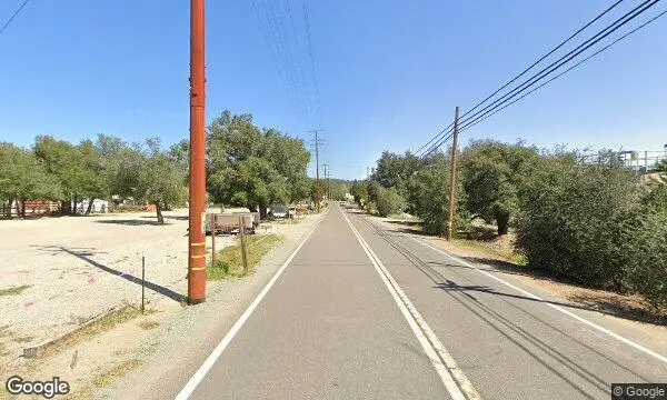 Street Views of Sunflower  at Julian Farm and Orchard Santa Ysabel, California - 1