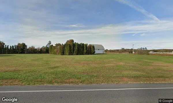 Street Views of Sunflower  at Rottkamp’s Fox Hollow Farm Calverton, New york - 1