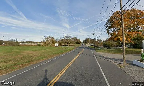 Street Views of Sunflower  at Rottkamp’s Fox Hollow Farm Calverton, New york - 2