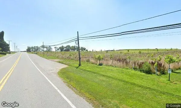 Street Views of Sunflower  at Sunflower Farm Lisbon Woodbine, Maryland - 3