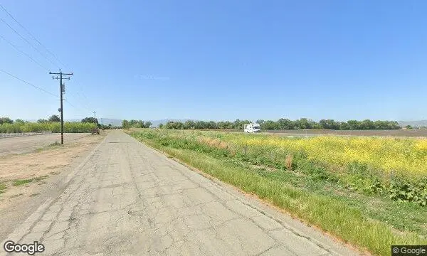 Street Views of Sunflower at Swank Farms, The Experience Hollister, California - 4