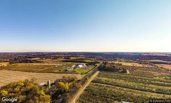 Street Views of Sunflower Field at Afton Apple Orchard Hastings, Minnesota - 2