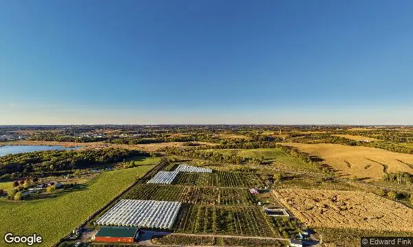 Street Views of Sunflower Field at Apple Jack Orchards Delano, Minnesota - 1