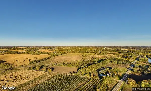Street Views of Sunflower Field at Apple Jack Orchards Delano, Minnesota - 2