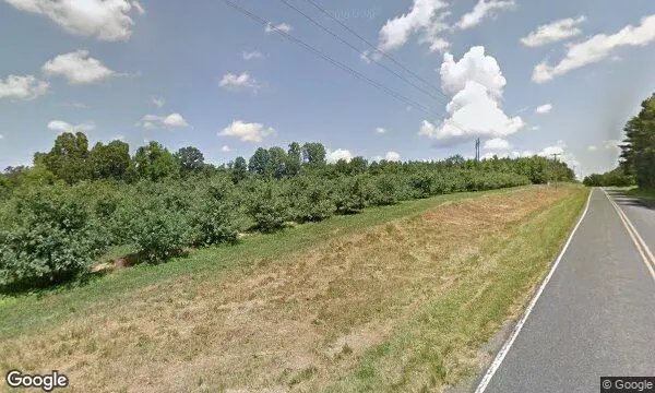 Street Views of Sunflower Field at Millstone Creek Orchards Ramseur, North Carolina - 1