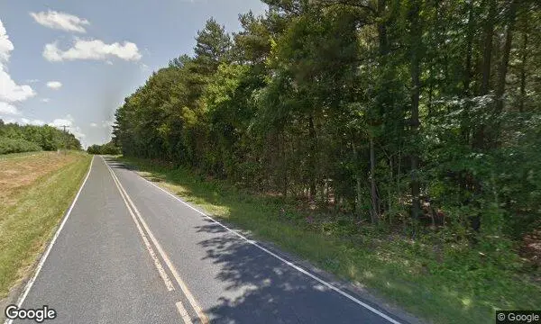 Street Views of Sunflower Field at Millstone Creek Orchards Ramseur, North Carolina - 2