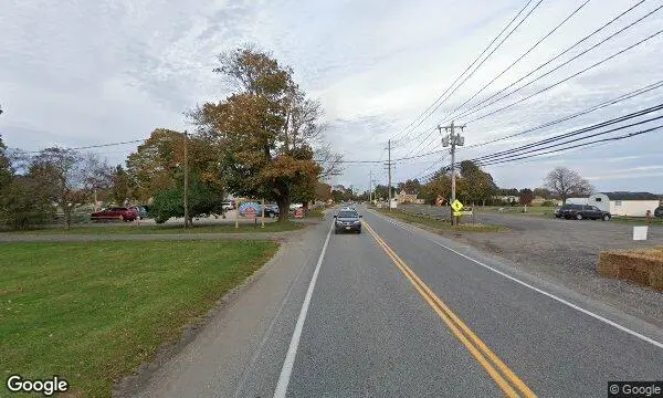 Street Views of Sunflower Field at Pattys Berries and Bunches Mattituck, New york - 2