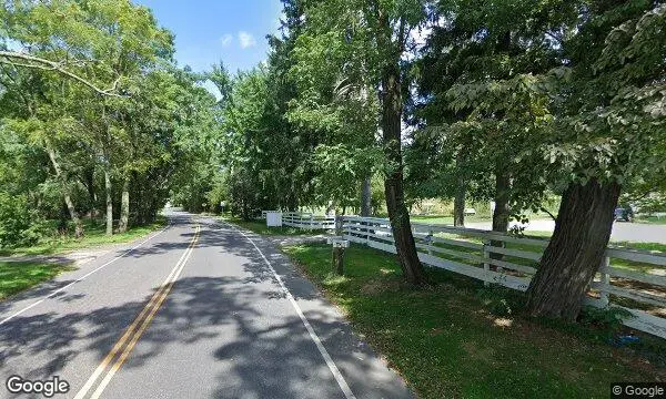 Street Views of Sunflower Field at Starflower Experiences Huntington, New York - 1