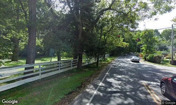 Street Views of Sunflower Field at Starflower Experiences Huntington, New York - 3