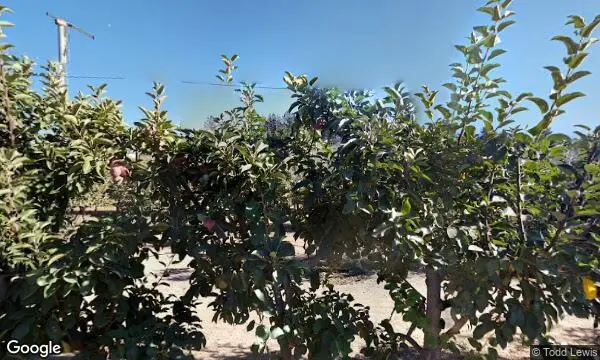 Street Views of  Volcan Valley Apple Farm Julian, California - 3