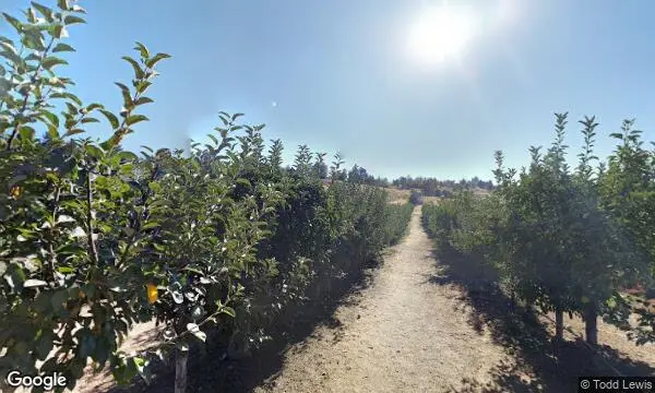 Street Views of  Volcan Valley Apple Farm Julian, California - 4
