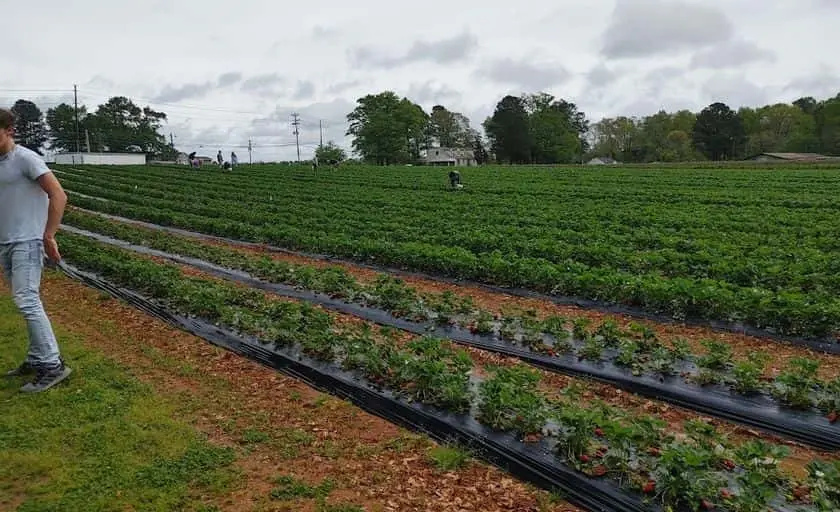 Photo of  Adams Farm Fayetteville, Georgia - 2