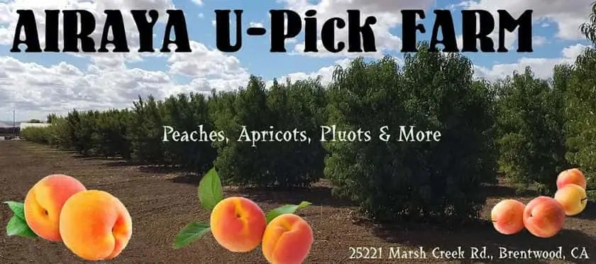 Photo of  AIRAYA U-Pick Farm Brentwood, California