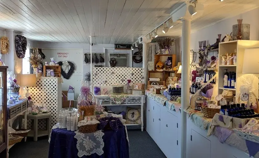 representative photo for Alpaca  Farms in Skillman, New Jersey