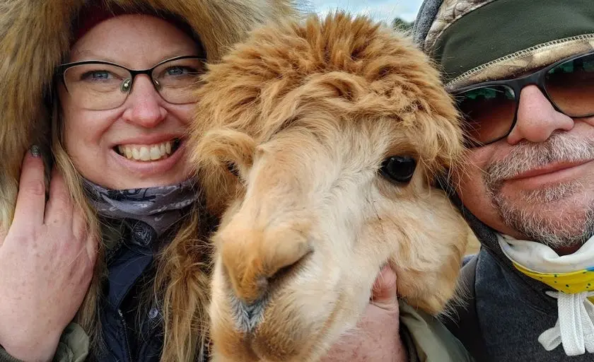 Photo of Alpaca  at Smith Mountain Lake Farm Alpacas Hardy, Virginia - 2