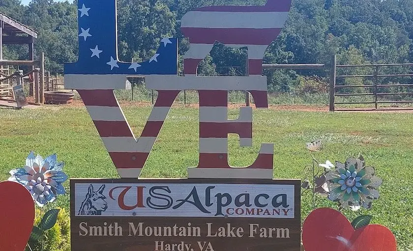 Photo of Alpaca  at Smith Mountain Lake Farm Alpacas Hardy, Virginia - 3