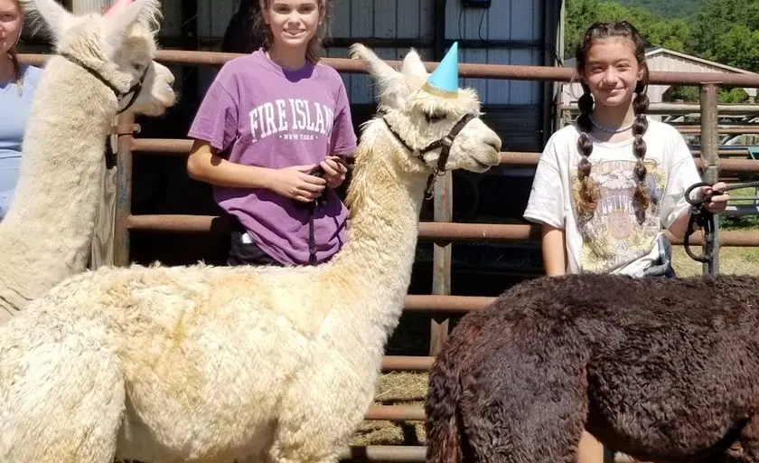 Photo of Alpaca Farm at Double 8 Alpaca Ranch Purcellville, Virginia - 2
