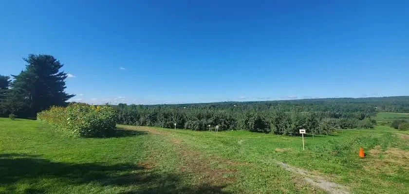 Photo of Apple Picking at Chapin Orchard Essex Junction, Vermont - 3