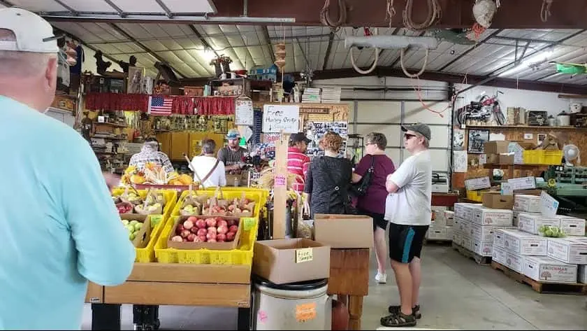 Photo of Apple Picking at Fritchman Orchards Eckert, Colorado