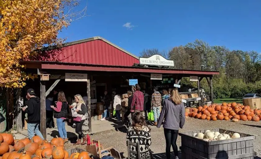 Photo of Apple Picking at Shelburn Orchard Shelburne, Vermont