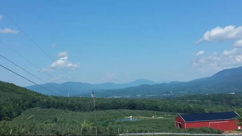 Photo of Apple Picking at Southern Vermont Orchards Bennington, Vermont - 3