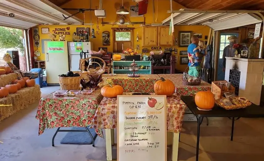 Photo of Apple Picking at Third Street Apples Penrose, Colorado