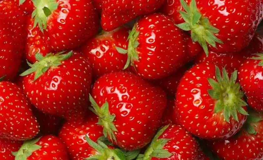 representative photo for Apple Picking Farms in Springfield, Vermont