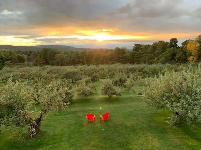 Photo of Apple Picking at Yates Family Orchard Hinesburg, Vermont - 3
