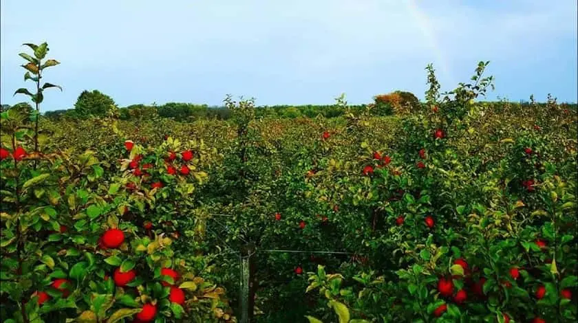 Photo of  Barthel Fruit Farm Mequon, Wisconsin