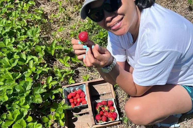 Photo of  Berry Best Farm Nabb, Indiana