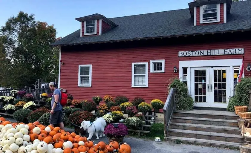 Photo of  Boston Hill Farm North Andover, Massachusetts