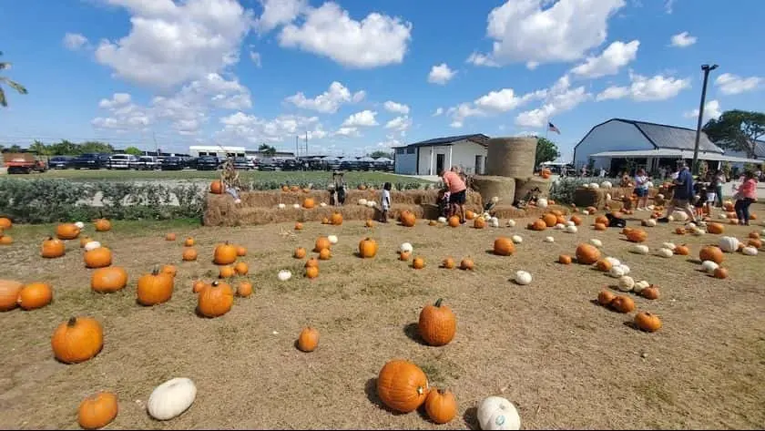 Photo of  Burr’s Berry Farm Miami, Florida - 3