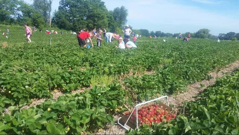 Photo of  Carandale Fruit Farm Oregon, Wisconsin