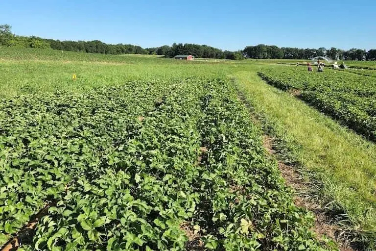 Photo of Carandale Fruit Farm Oregon, Wisconsin - 3