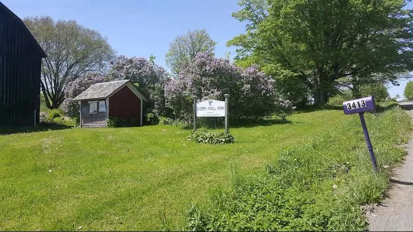 Photo of  Cherry Knoll Farm Winery Marathon, New york