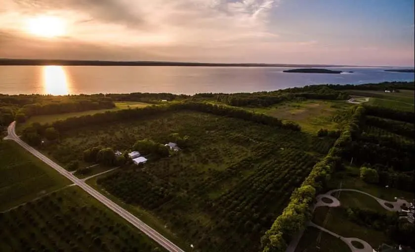 Photo of Cherry Picking at Cherry U-Pick at Third Coast Fruit Co Traverse City, Michigan