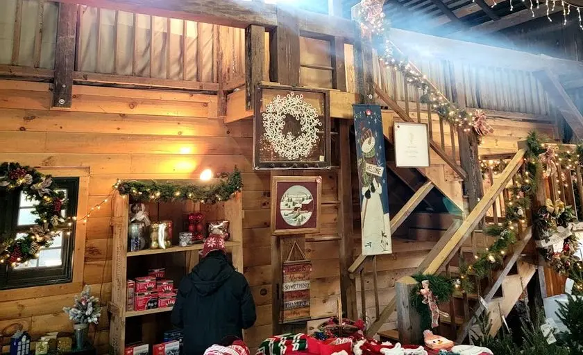 Photo of Christmas Tree at Dreamland Christmas Tree Farm Middletown, Maryland - 3