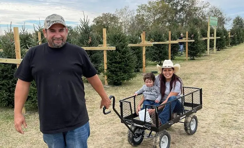 representative photo for Christmas Tree  Farms in Alvin, Texas