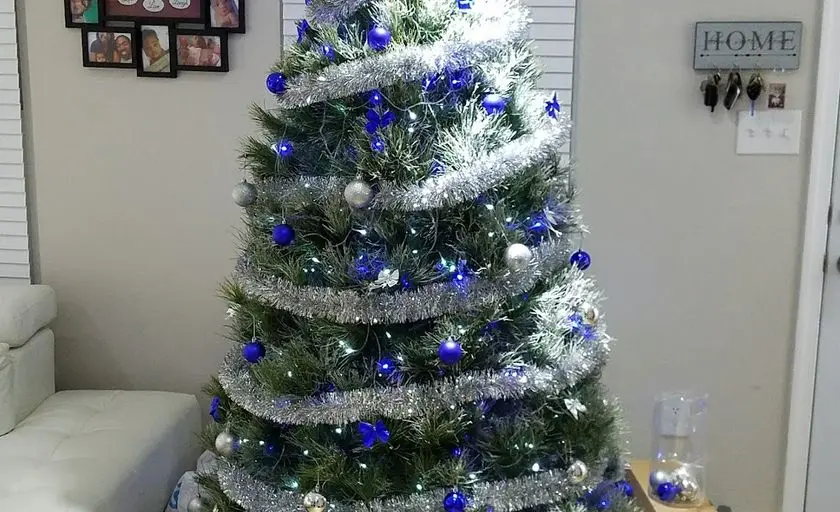 Photo of Christmas Tree  at Linden Hill Christmas Tree Farm Upper Marlboro, Maryland - 3