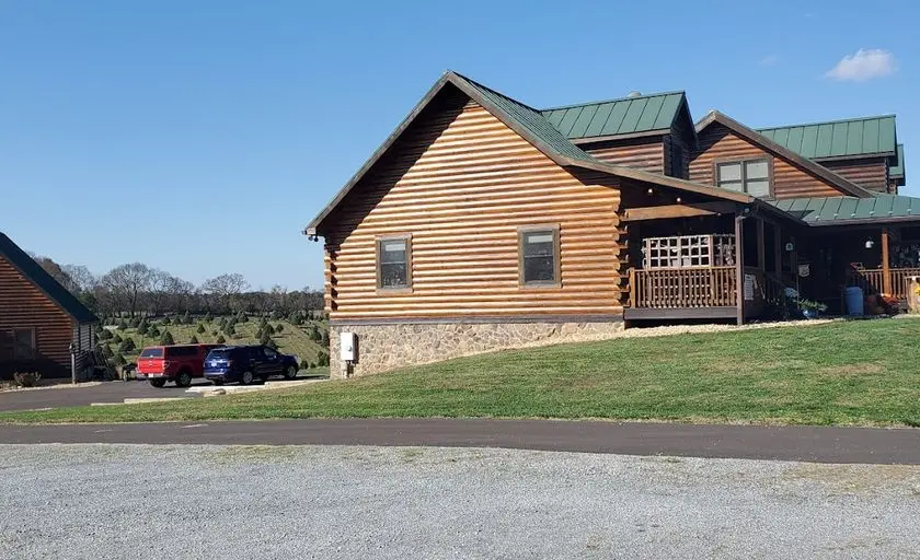 Photo of Christmas Tree  at Moose Apple Christmas Tree Farm Berryville, Virginia - 2