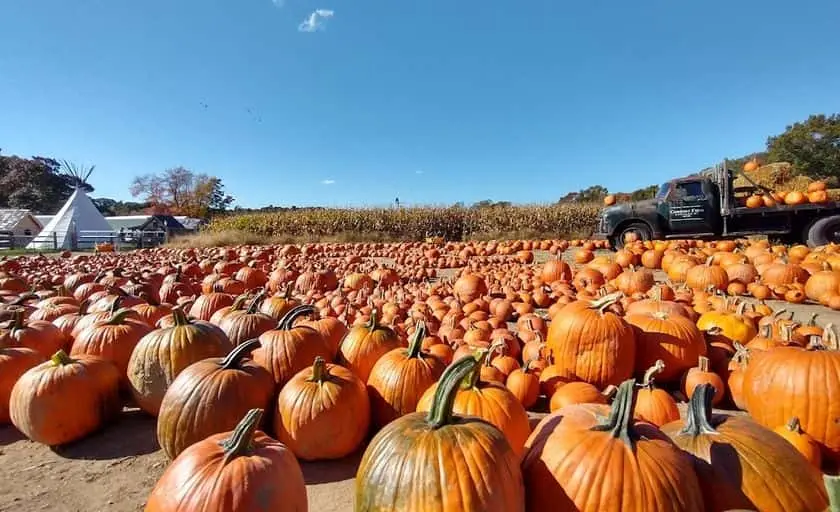 Photo of  Connors Farm Danvers, Massachusetts