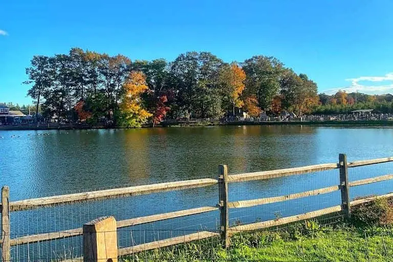 Photo of  Connors Farm Danvers, Massachusetts - 3