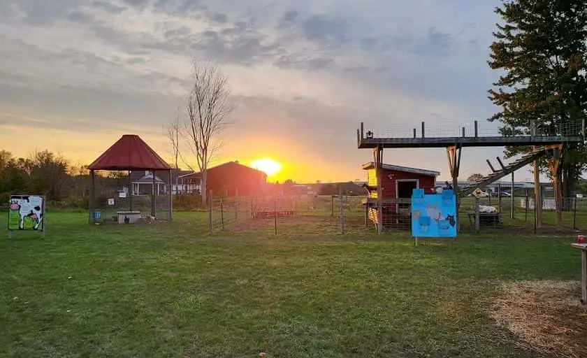 Photo of  CornFun Corn Maze Adventure And Pumpkin Patch Casco, Michigan - 2