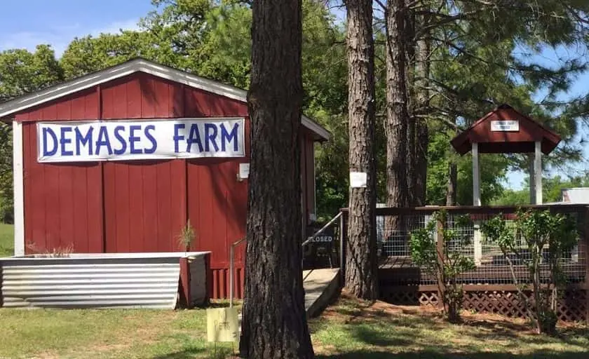representative photo for Strawberry Picking Farms in Fort Worth, Texas