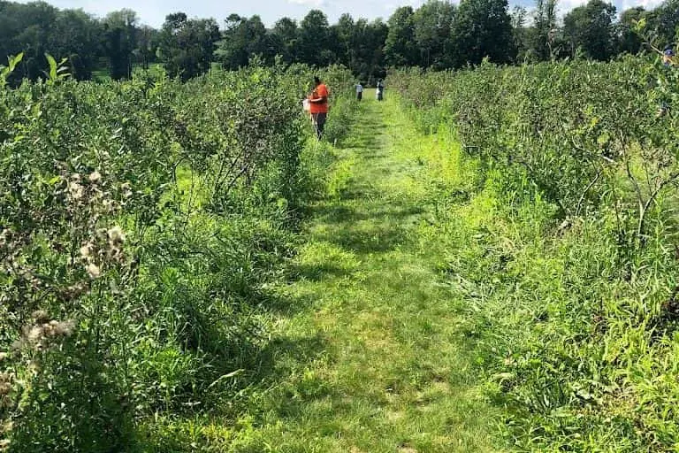 Photo of  Ellsworth Hill Orchard and Berry Farm Sharon, Connecticut