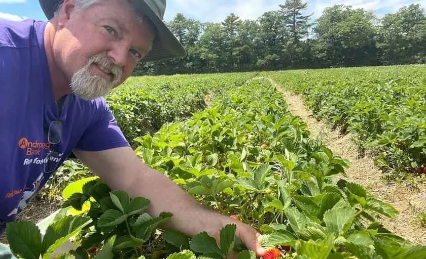 representative photo for Strawberry Picking Farms in Bowdoinham, Maine