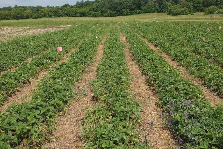 Photo of  Fidelar Farm Kewaskum, Wisconsin