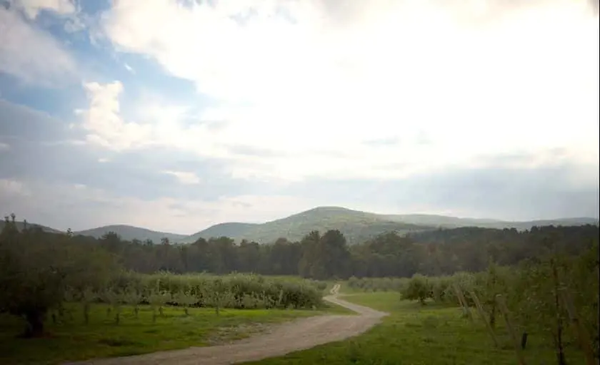 Photo of  Fishkill Farms Hopewell Junction, New york